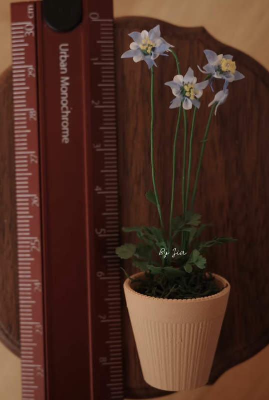 Piante in argilla in miniatura - Tagine Clay Pot recensione e prezzo