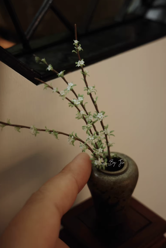 Piante in argilla in miniatura - Tagine Clay Pot recensione e prezzo