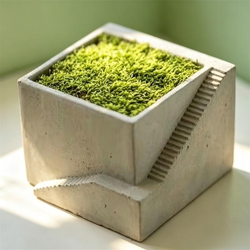Scale quadrate Forma Piante gr - Tagine Clay Pot recensione e prezzo
