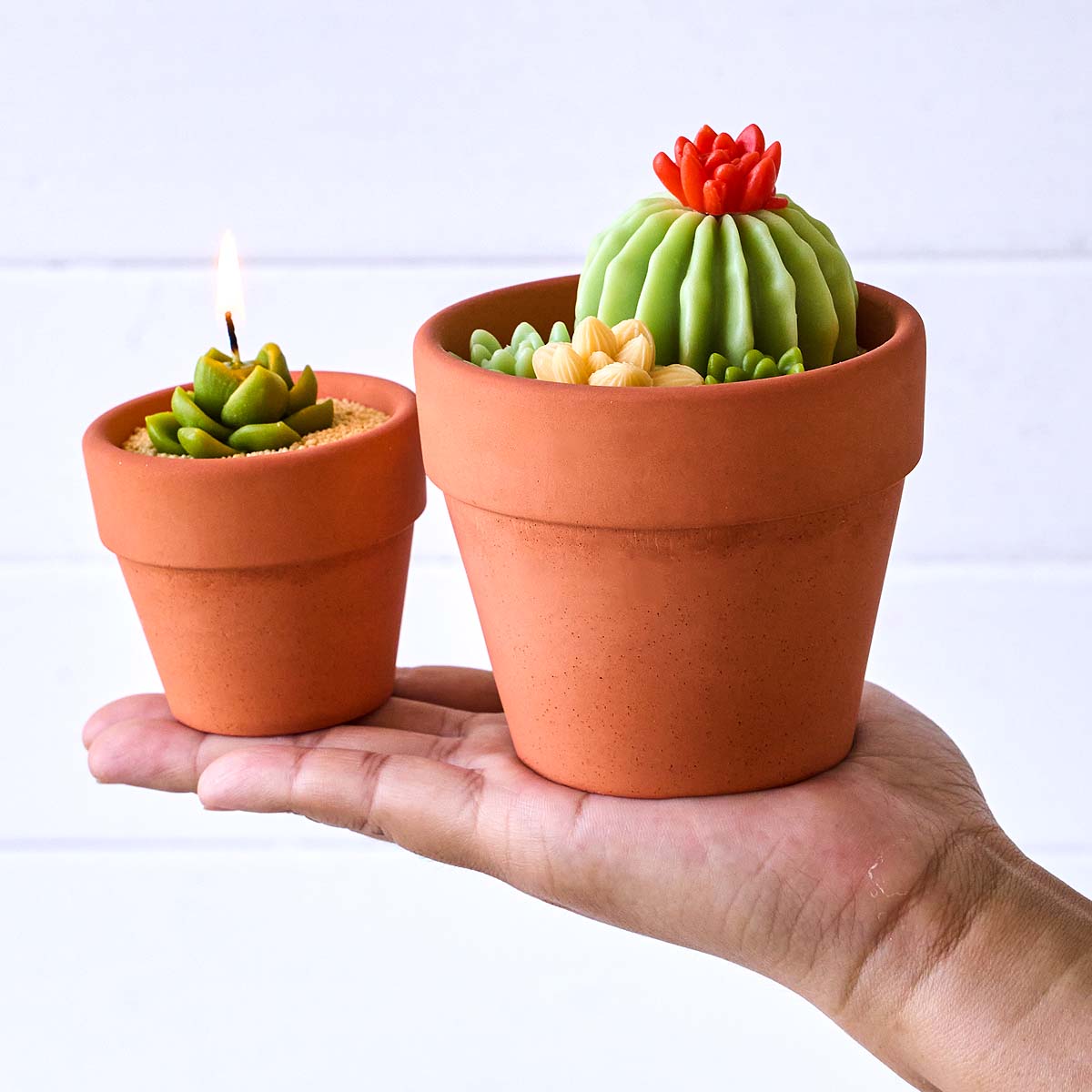 Stampo in silicone 3D nordico  - Tagine Clay Pot recensione e prezzo