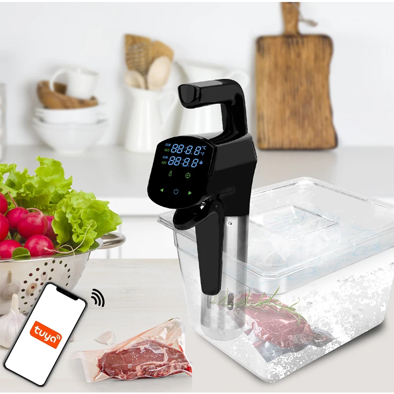 Macchina commerciale Sous Vide - Home Cooking Steak recensione e prezzo