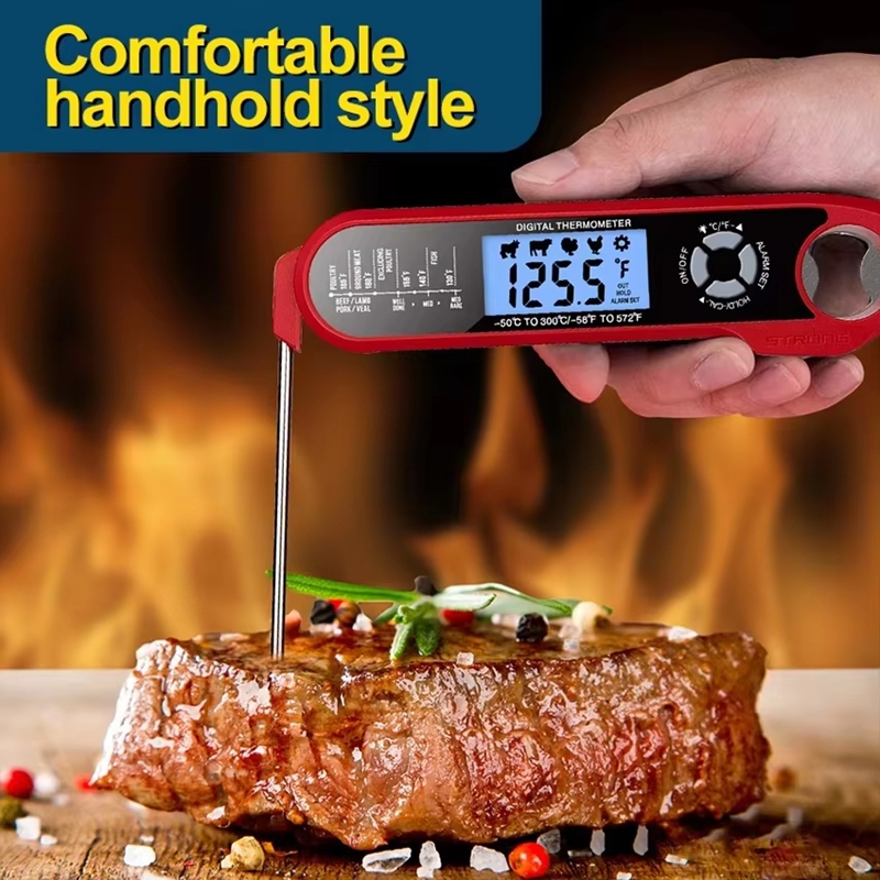 Termometro per carne a doppia  - Home Cooking Help recensione e prezzo
