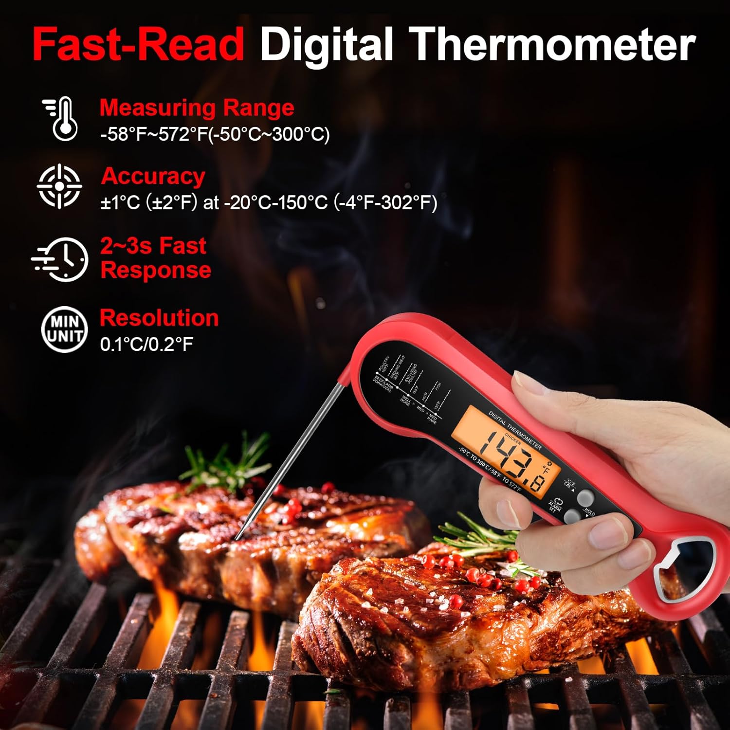Termometro Professionale per C - Home Cooking Help recensione e prezzo